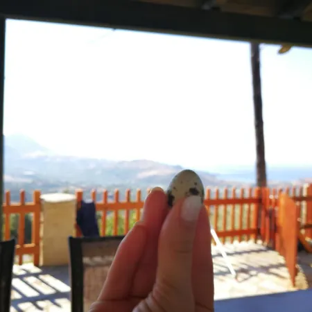 Holiday home Arodamos